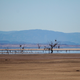 Illustration for article titled California's Drought Is Making Its Dying Inland Sea Even More Toxic